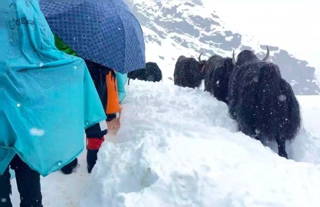 园”在暴雪和雷电中度过惊魂一夜开元棋牌网站“上千人来珠峰逛公(图2)