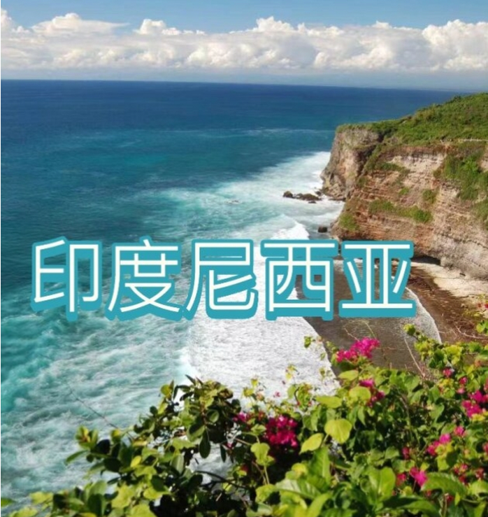 国际电商(印尼)产业博览会开元棋牌试玩2025中国