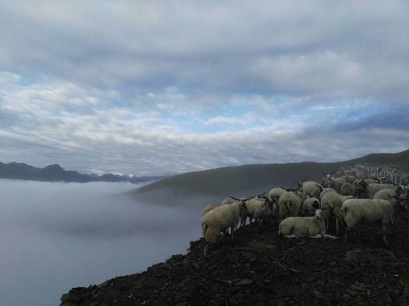 中国】达瓦更扎看云海开元棋牌试玩【大美(图3) 中国】达瓦更扎看云海开元棋牌试玩【大美(图3)